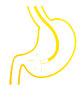 gastroskopia - ikona